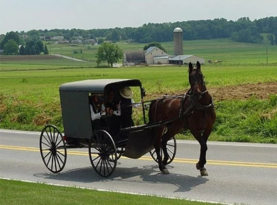 amish voter turnout fuels trump s victory in pennsylvania amidst raw milk raid outrage amish voter turnout fuels trump s victory in pennsylvania amidst raw milk raid outrage