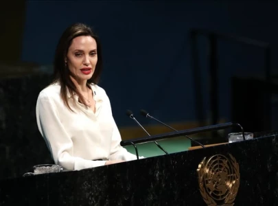 angelina jolie decries global injustice how some groups have rights and others have none angelina jolie decries global injustice how some groups have rights and others have none