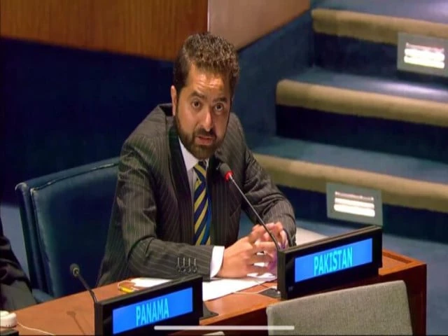 pakistani delegate ansar shah pakistani delegate ansar shah
