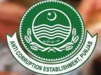 900 suspected bogus property registrations uncovered