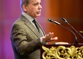 pm shehbaz kicks off nationwide anti polio campaign