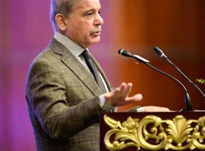 pm shehbaz kicks off nationwide anti polio campaign