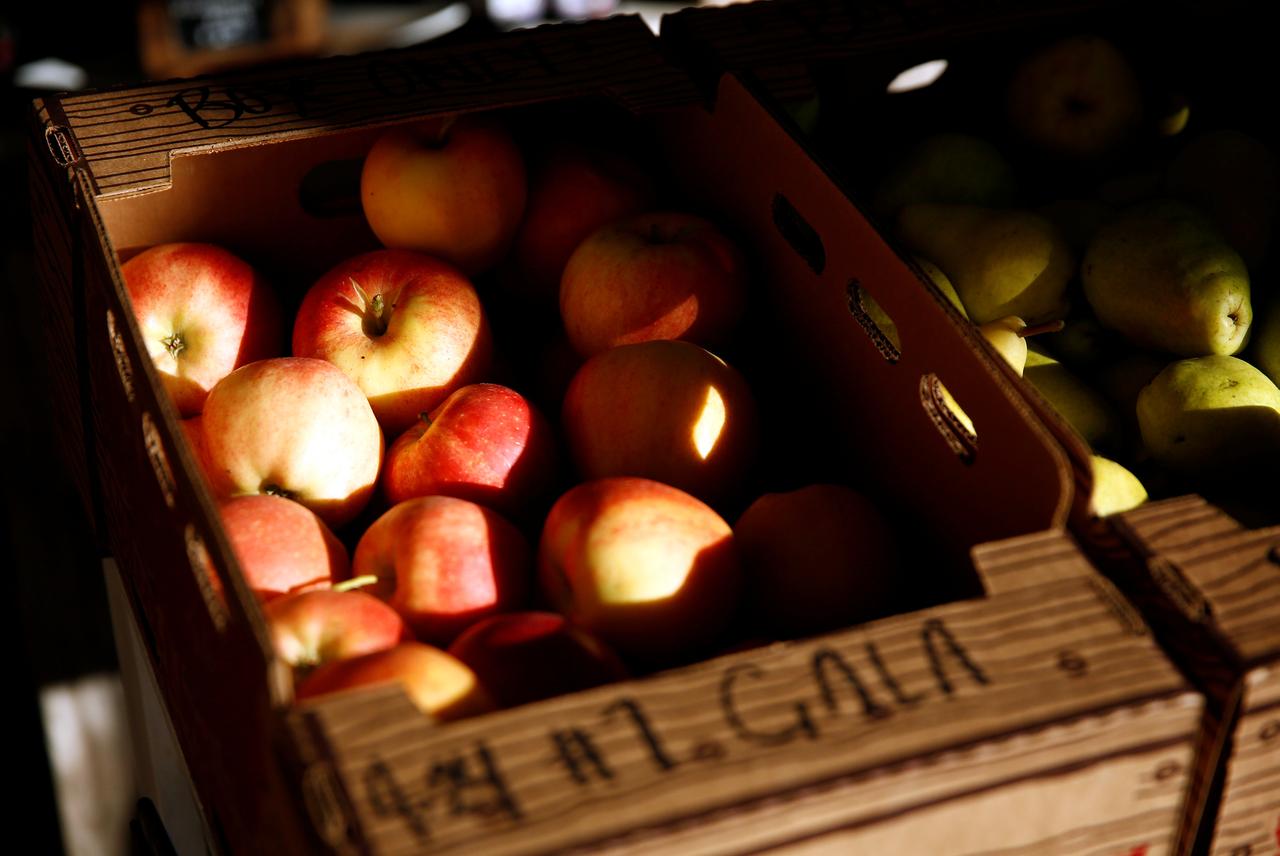 a reuters file image of apples