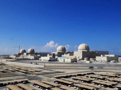 uae establishes arab world s first ever nuclear power plant