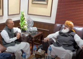 pti s arif alvi meets fazlur rehman to discuss proposed constitutional amendments