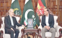 iran offers pakistan diplomatic blank cheque