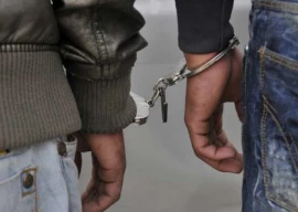 gang of alien marauders busted