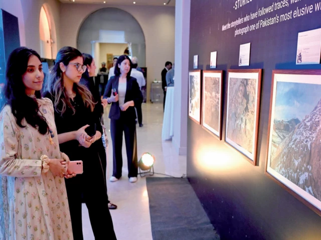 expo held at serena hotel islamabad to celebrate world snow leopard day photo express expo held at serena hotel islamabad to celebrate world snow leopard day photo express