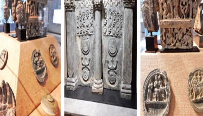 lawmakers seek audit of repatriated artefacts