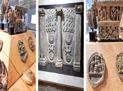 lawmakers seek audit of repatriated artefacts