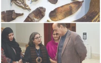 artist mimics nature in works of clay artist mimics nature in works of clay