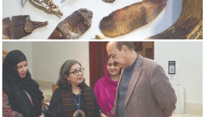 artist nabahat lotia takes inspiration from nature for her exhibition aatish at the pnca in islamabad as she translates patterns and themes found in the natural environment into clay and ceramic pieces photos express artist nabahat lotia takes inspiration from nature for her exhibition aatish at the pnca in islamabad as she translates patterns and themes found in the natural environment into clay and ceramic pieces photos express