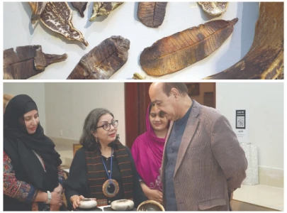 ceramist nabahat lotia s aatish moulds clay fire into nature inspired art at pnca ceramist nabahat lotia s aatish moulds clay fire into nature inspired art at pnca