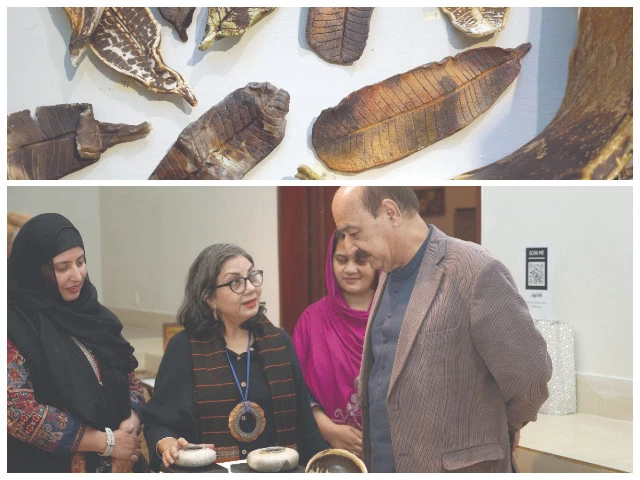 artist nabahat lotia takes inspiration from nature for her exhibition aatish at the pnca in islamabad as she translates patterns and themes found in the natural environment into clay and ceramic pieces photos express