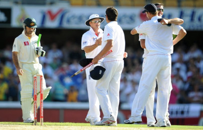 cook leads valiant fightback