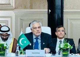 pakistan proposes un suspension for israel pakistan proposes un suspension for israel