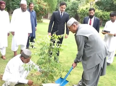 president zardari urges increased tree planting to combat climate change president zardari urges increased tree planting to combat climate change
