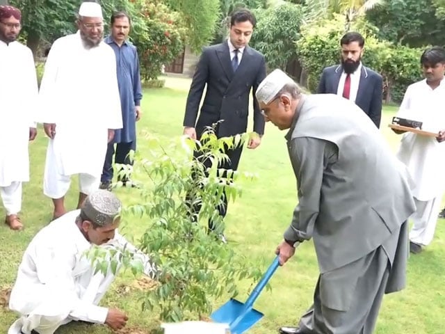 President Zardari calls for increased tree planting to combat climate change