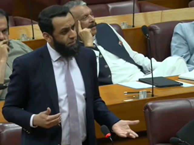 information minister attaullah tarar speaks at the national assembly budget session on june 14 2026 screengrab information minister attaullah tarar speaks at the national assembly budget session on june 14 2026 screengrab