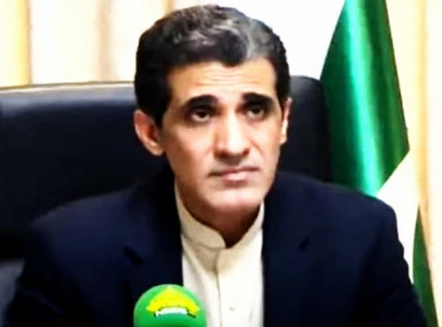 minister decries overseas pakistanis hostile agenda minister decries overseas pakistanis hostile agenda