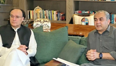 interior minister mohsin naqvi and finance minister muhammad aurangzeb preside over a meeting in islamabad to review measures against hawala hundi and money laundering operations photo app