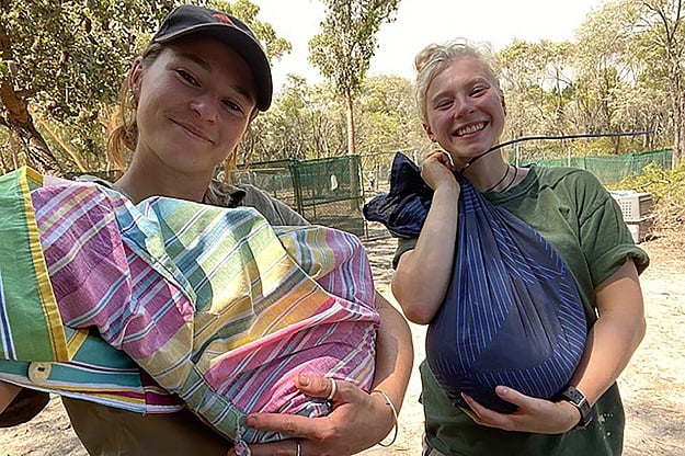 This photo shows volunteers holding wild animals in bags in Calga. PHOTO: AFP