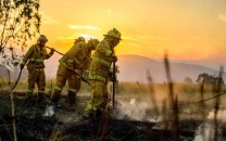 human remains found amid devastating bushfires in australia human remains found amid devastating bushfires in australia