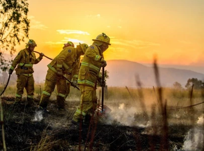 human remains found amid devastating bushfires in australia human remains found amid devastating bushfires in australia