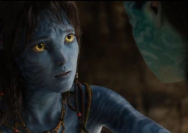 fire ash and the return of wonder