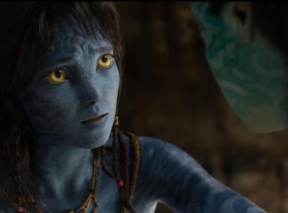 fire ash and the return of wonder