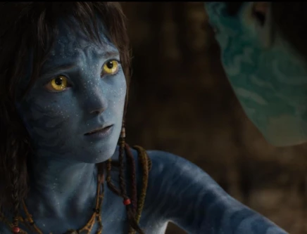 fire ash and the return of wonder