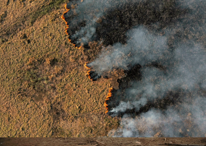 the amazon a paradise lost