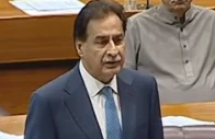 pml ns ayaz sadiq in the national assembly photo screengrab