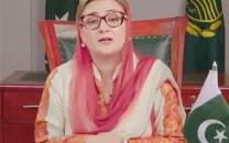 basant returns under strict safety sops azma bukhari basant returns under strict safety sops azma bukhari