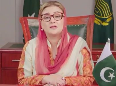 basant returns under strict safety sops azma bukhari