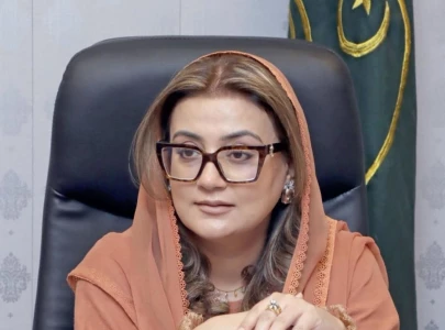 goldsmith family s assault on pakistan s national interests