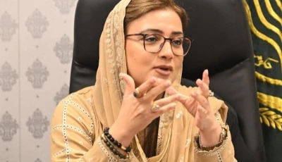 punjab information minister lambasts pti as fascist group