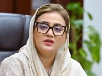 minister s plea for video link testimony dismissed