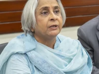 dr azra pechuho photo file