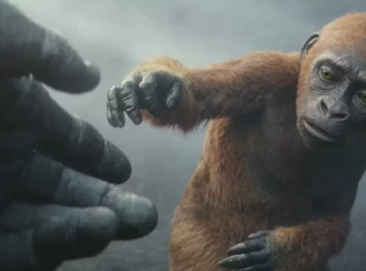introducing baby kong the breakout star of godzilla x kong