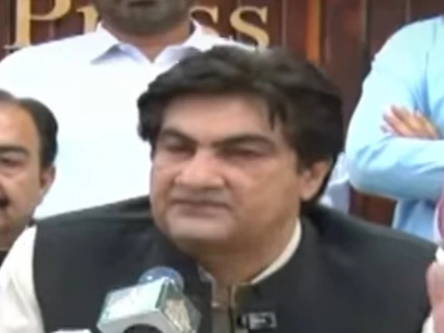 pakistan peoples party k p president muhammad ali shah bacha pakistan peoples party k p president muhammad ali shah bacha