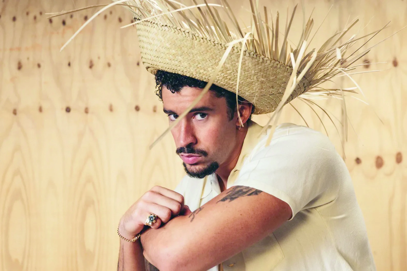 bad bunny photo file