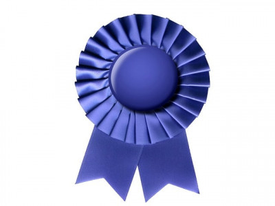 3 lahore schools win national laurels