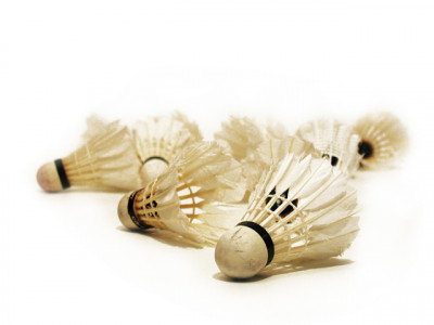 sulehri slams parallel federations