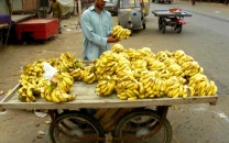 traffic wardens suspended for forcibly taking bananas from vendor in rawalpindi traffic wardens suspended for forcibly taking bananas from vendor in rawalpindi