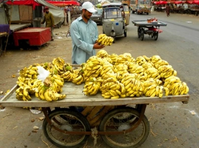 traffic wardens suspended for forcibly taking bananas from vendor in rawalpindi