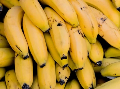 swedish minister s banana phobia causes stir as emails leak