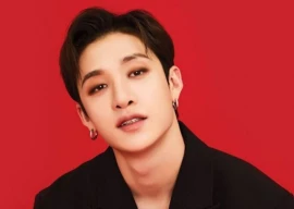 stray kids bang chan apologizes after brazil concert comment sparks fan backlash stray kids bang chan apologizes after brazil concert comment sparks fan backlash