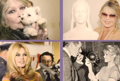 cinema legend brigitte bardot dies