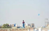 basant kites set to fly in punjab between feb 6 8 basant kites set to fly in punjab between feb 6 8